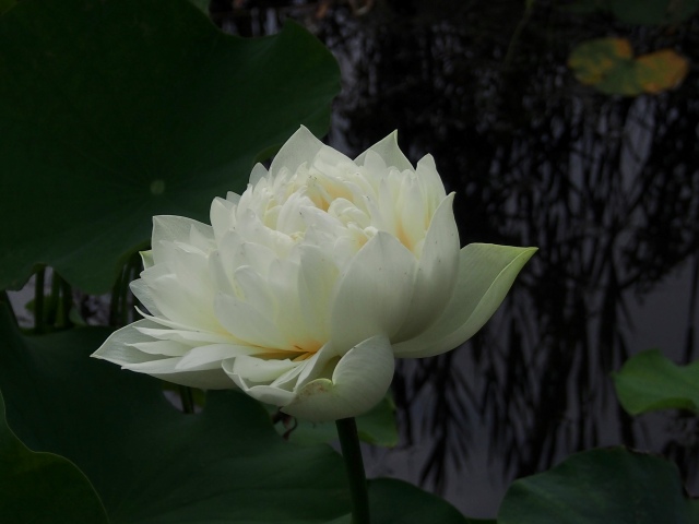 c0183777_762446.jpg