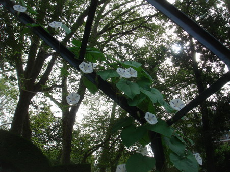 a0247585_2222628.jpg