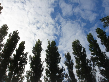 a0247585_22365446.jpg