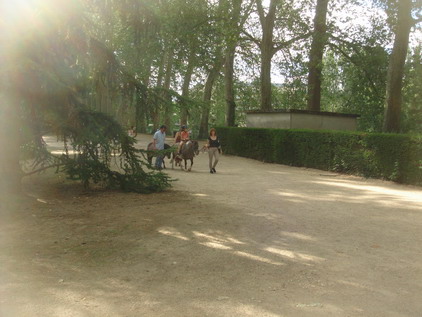 a0247585_22403691.jpg