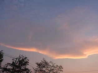 a0258087_1148311.jpg