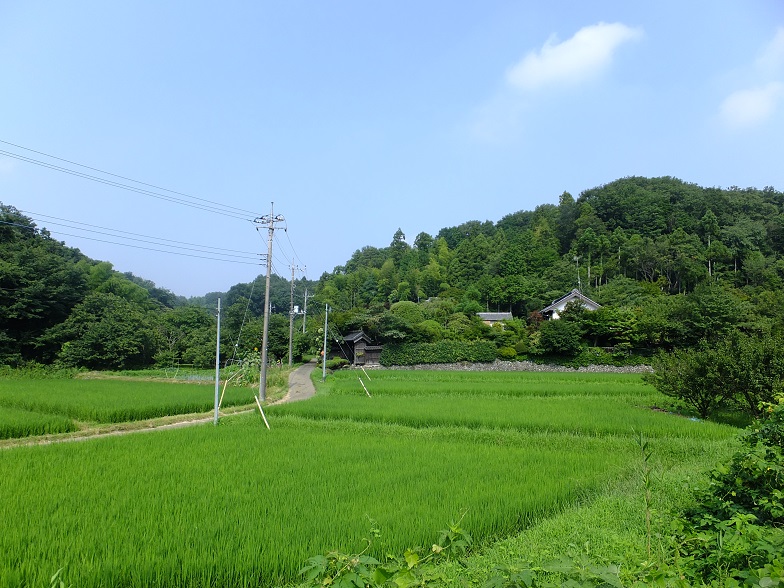 d0183387_13302047.jpg