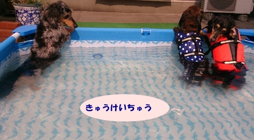 a0225693_20133327.jpg