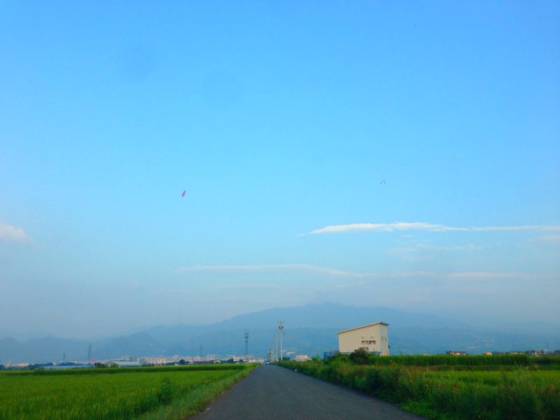 d0135694_1534639.jpg
