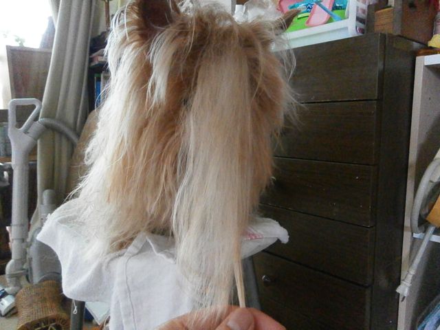 f0130894_23122243.jpg