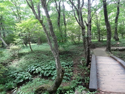 d0257298_9263159.jpg