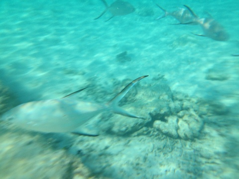 d0236001_20161558.jpg