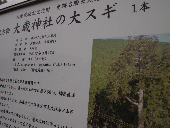 a0200608_11134296.jpg