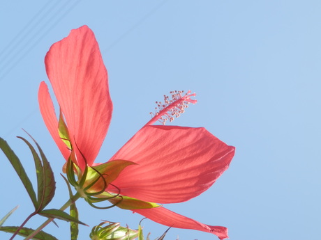 c0062511_23164753.jpg