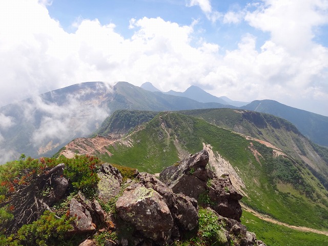 d0142618_18423656.jpg