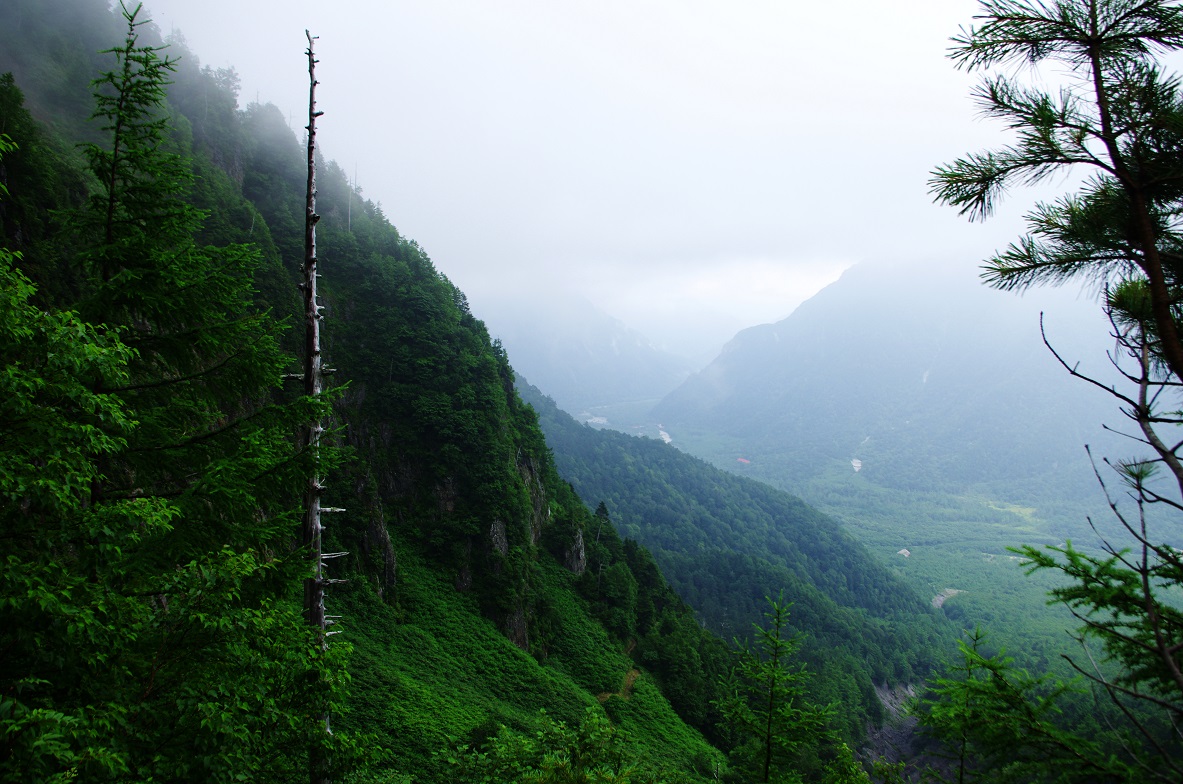 b0062024_22221039.jpg