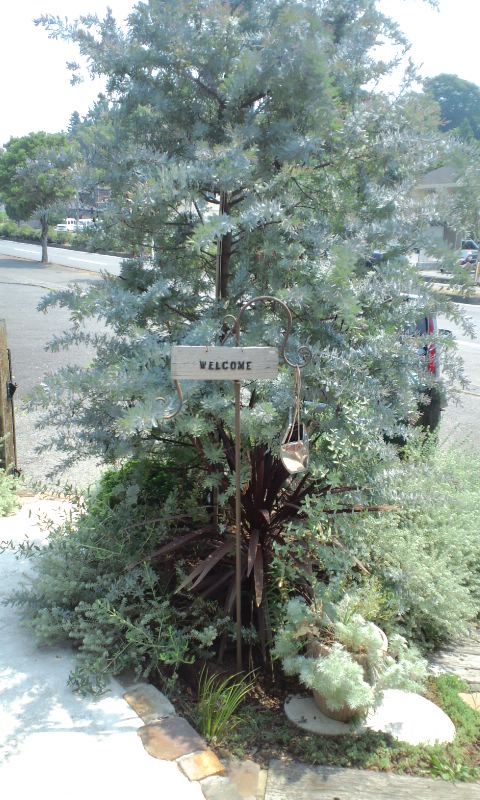 e0050324_1343038.jpg