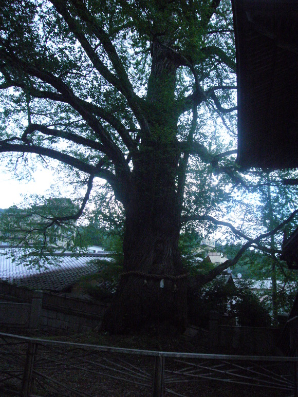 a0226627_13254452.jpg