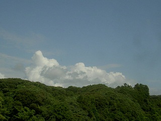 b0252727_4231383.jpg