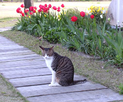 c0104445_0382942.jpg