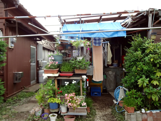 d0021969_1224666.jpg