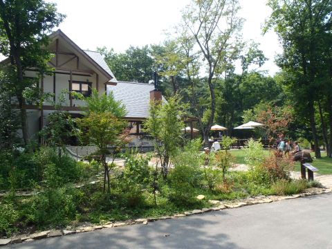 f0047773_2143856.jpg