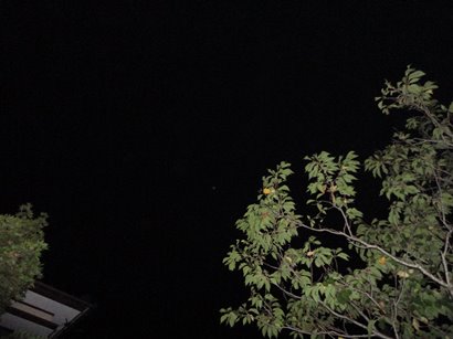 d0178977_16534748.jpg