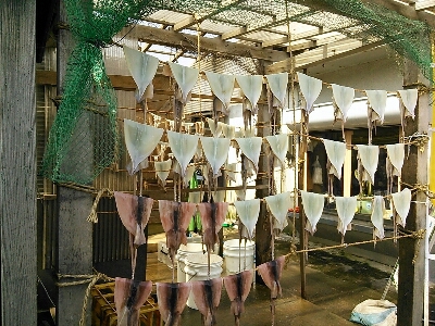 c0198485_13483533.jpg