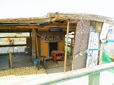 c0198485_1403064.jpg