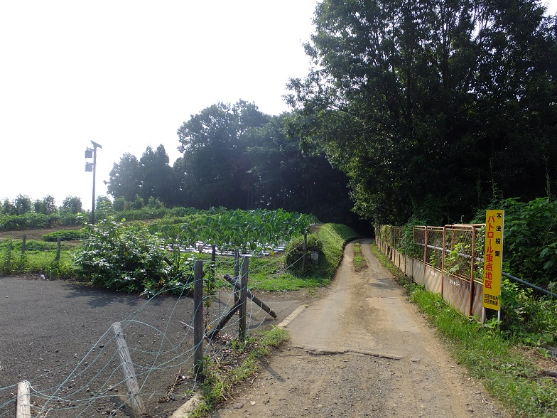 d0183387_16402370.jpg
