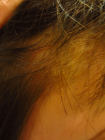f0110488_239110.gif