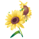 f0137694_8381931.gif