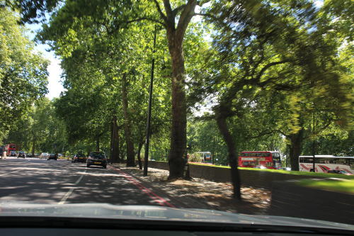 c0090198_493647.jpg