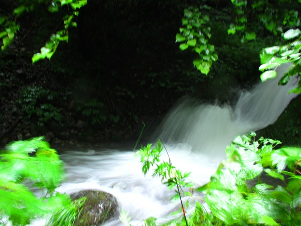 b0192199_1138348.jpg