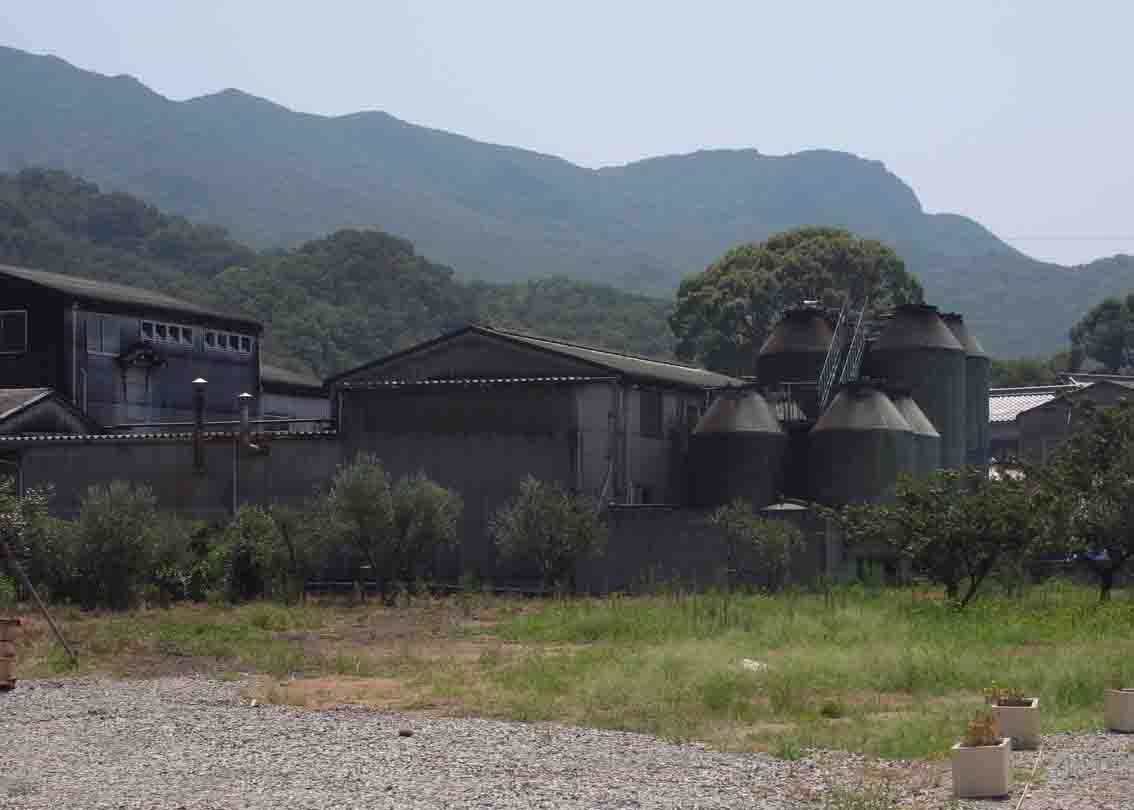 a0315601_1738688.jpg