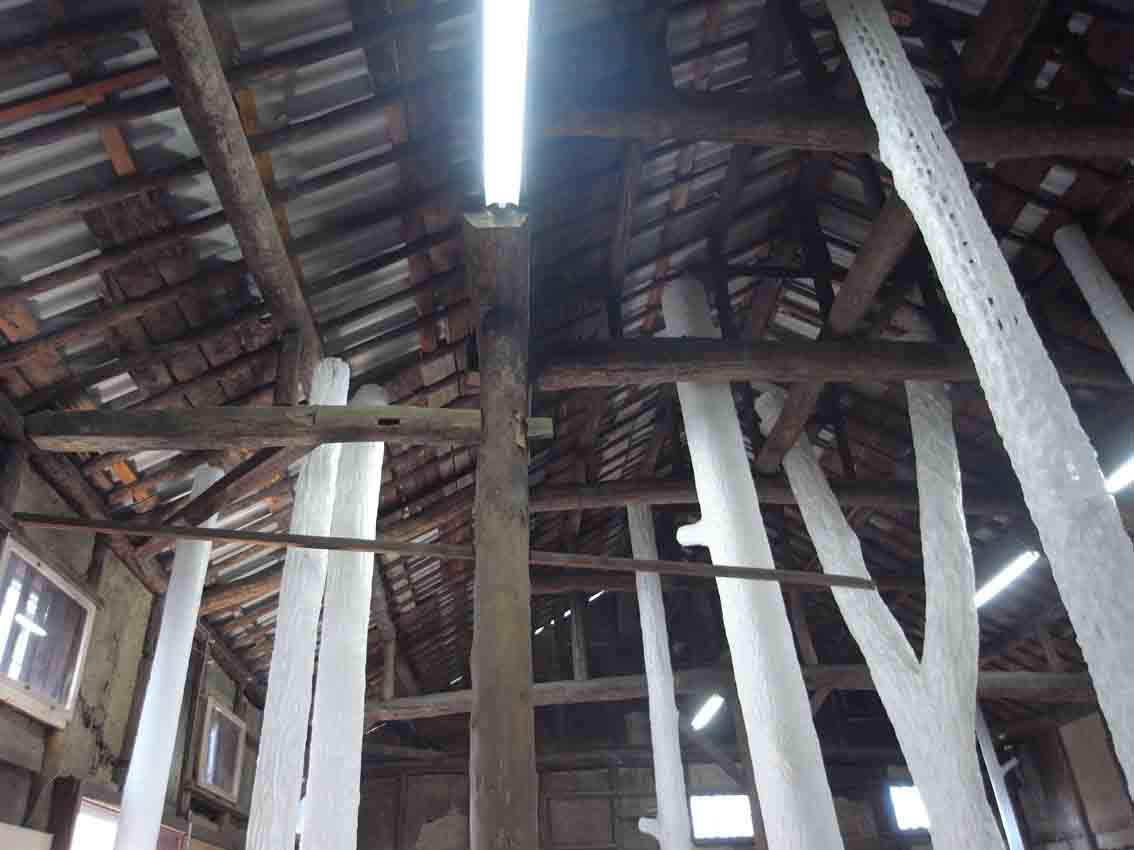 a0315601_17512378.jpg