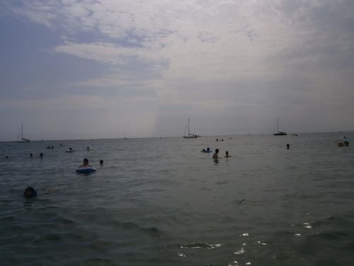 f0006509_1127494.jpg