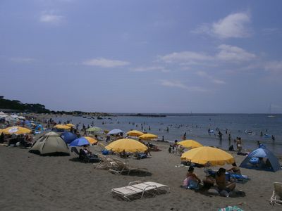 f0006509_11281246.jpg