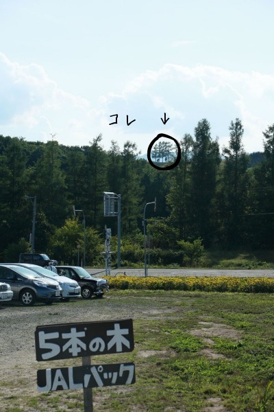 d0258417_2014619.jpg