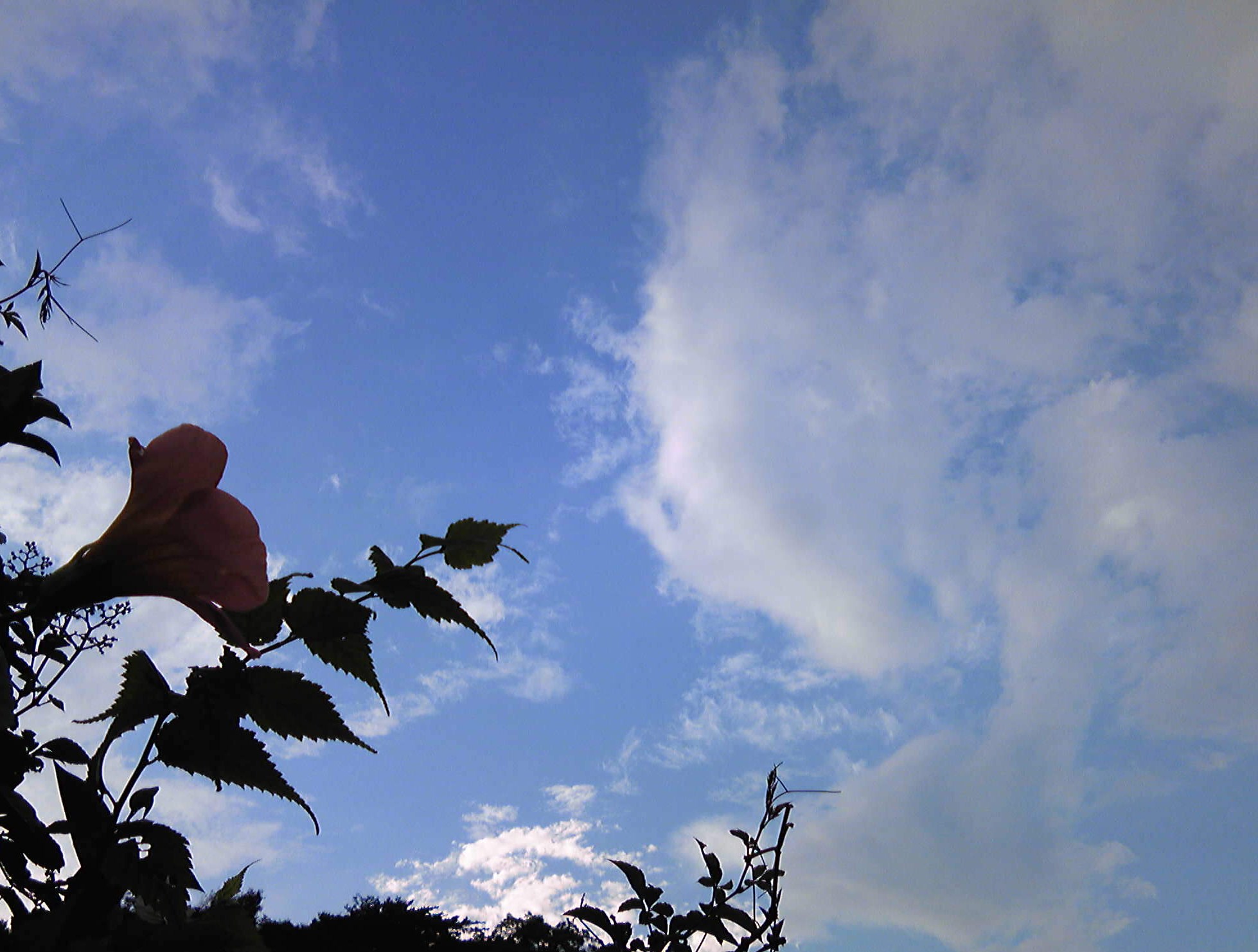 b0285619_18174494.jpg