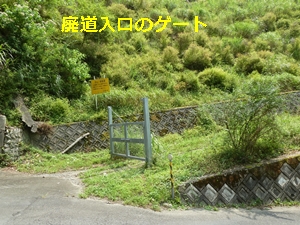 e0284019_11594887.jpg