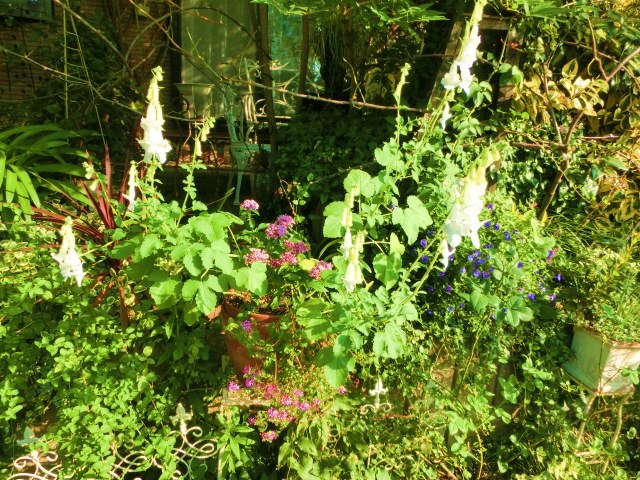 c0204121_7385930.jpg