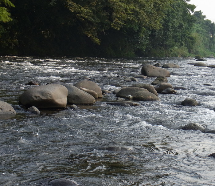 d0172227_8205369.jpg
