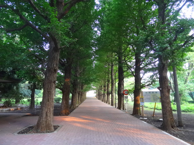 e0016828_11283070.jpg