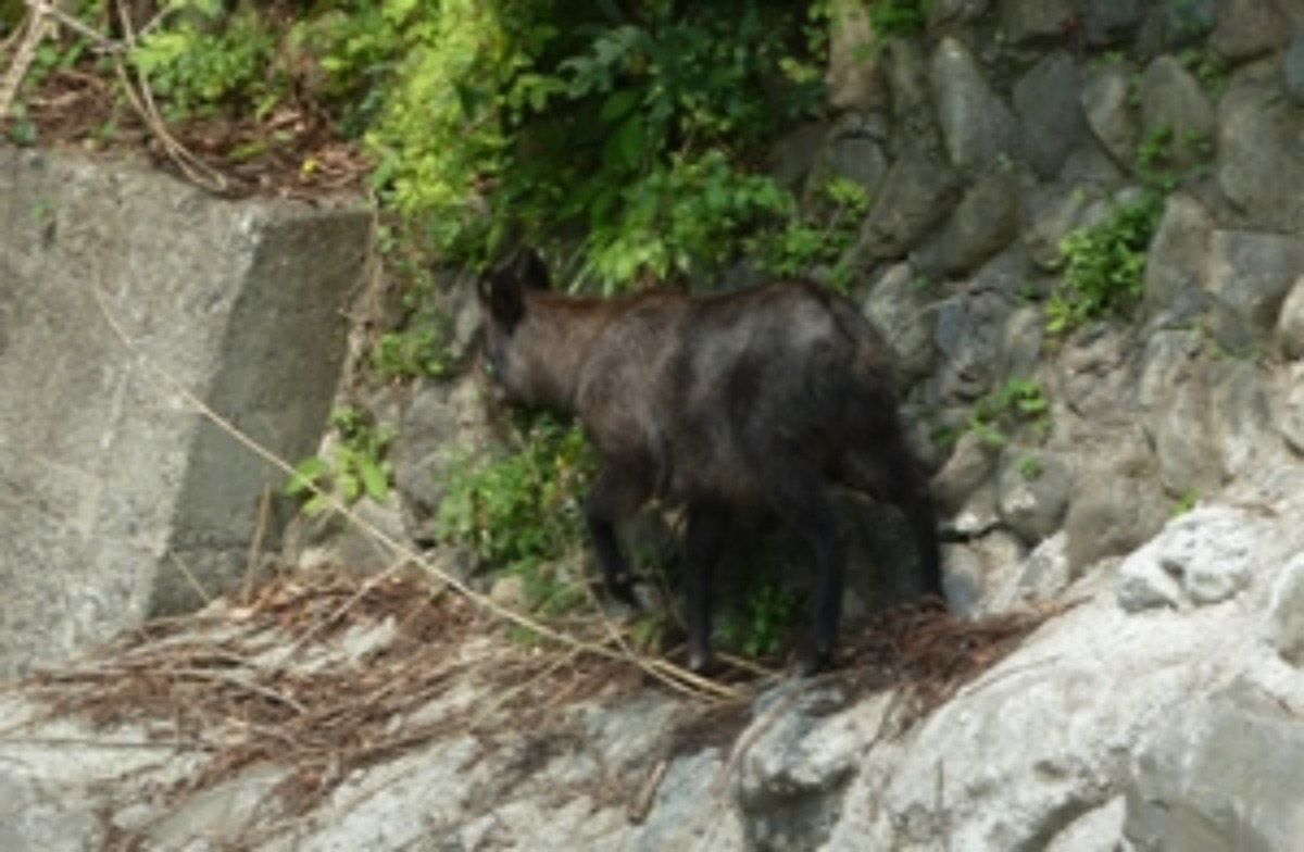 e0033229_2028011.jpg