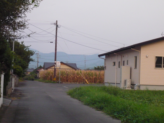 a0206332_7322557.jpg
