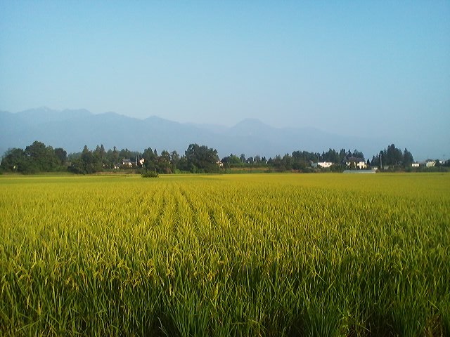 a0272241_9392591.jpg