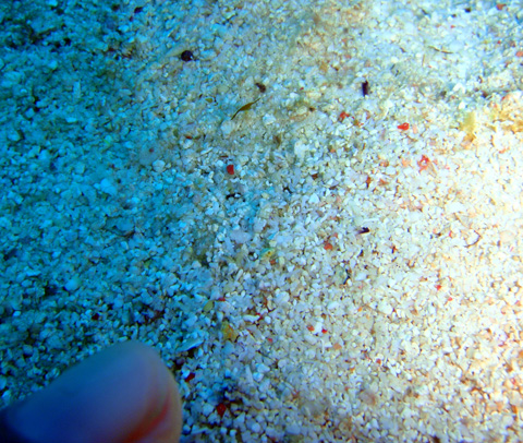f0014842_2113721.jpg