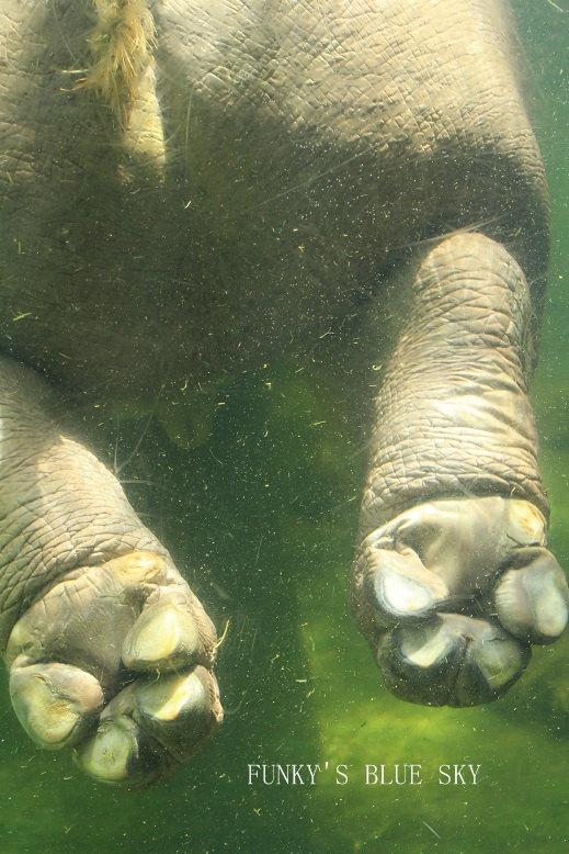 c0145250_9263586.jpg