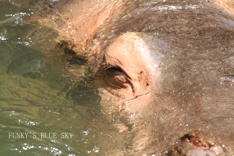 c0145250_9265723.jpg