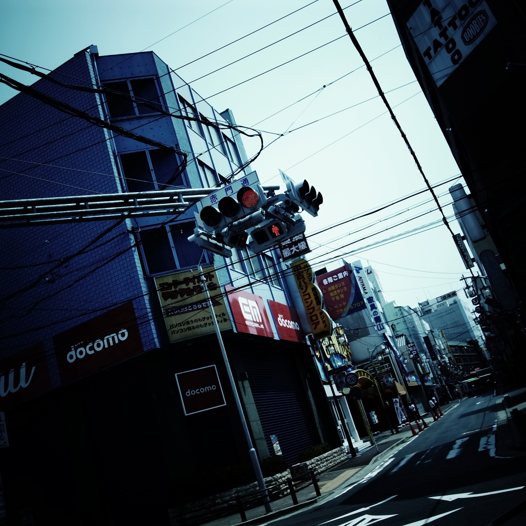 a0255458_15295746.jpg