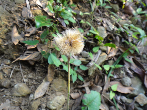 c0256558_9422713.jpg