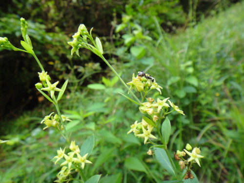c0256558_9425137.jpg