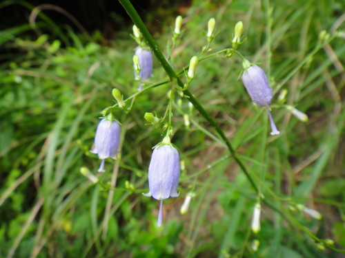 c0256558_944669.jpg