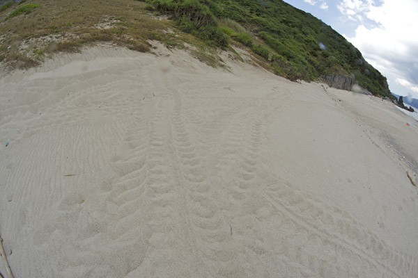 b0062363_18392890.jpg